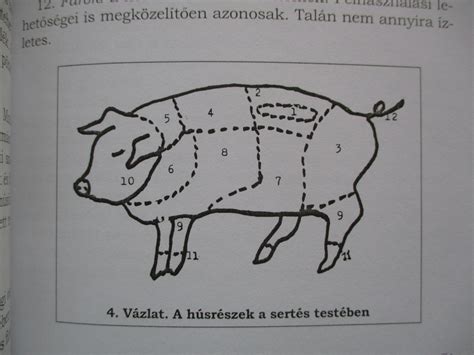Húsok és húskészítmények csomagolása fagyasztáshoz
