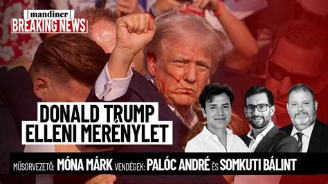A Trump névhez kapcsolódó védjegyek elemzése