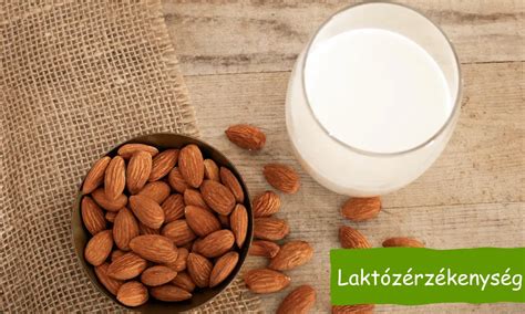 Laktózérzékenység elterjedése a világban