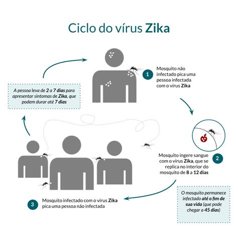 Térkép: Dengue és Zika vírus terjedési területei Brazíliában