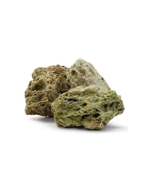 terrárium dekoráció csigáknak