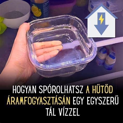 Rizst és vizet tartalmazó tál