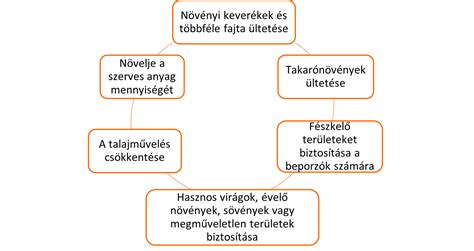 Sokféleség a péksüteményekben