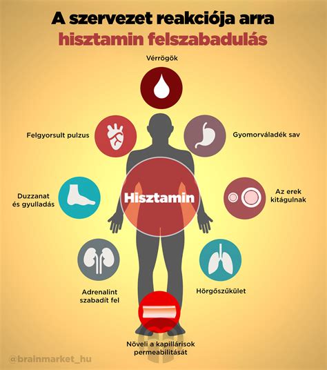 A hisztamin intolerancia hátterében álló problémák