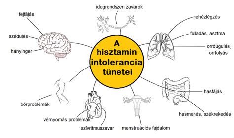 Ábra: A hisztamin-intolerancia tünetei testszerte megjelenhetnek