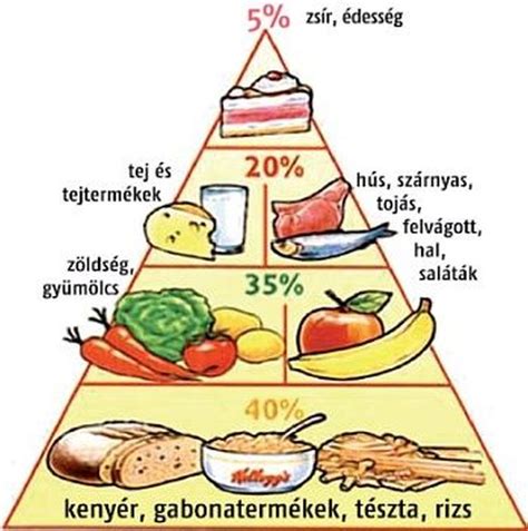 Tudatos étkezési piramis