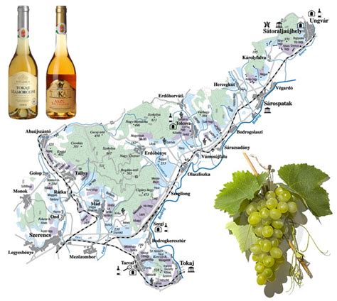 Tokaj-Hegyalja borvidék térképe