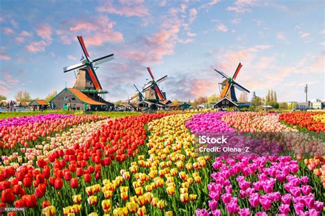 holland csatorna és ugró rúd