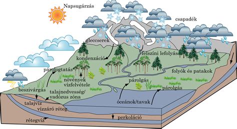 A szén- és metán körforgás a természetben
