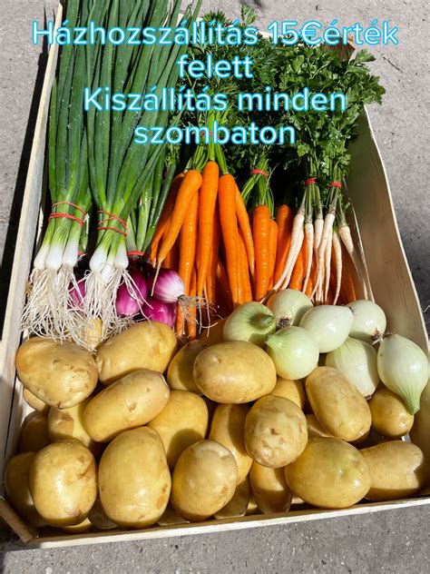 Friss zöldségek a házi leveskockához