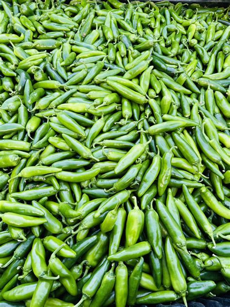 Frissen szedett Jalapeno paprikák