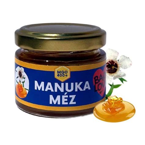 A méz történeti jelentőségét illusztráló barlangrajz