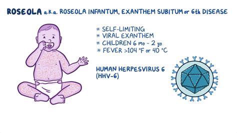 A roseola terjedésének mechanizmusa