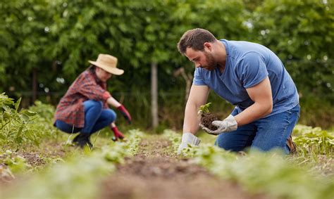 házi kertészkedés