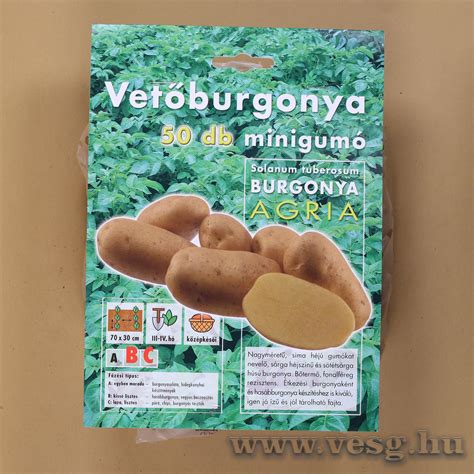 Előfőzött burgonya lecsepegtetve