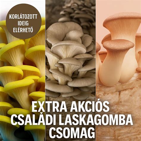 többféle laskagomba ételválogatás