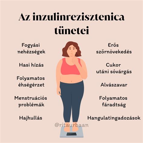 inzulinrezisztencia diagram