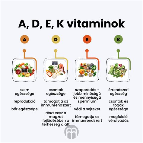 Káposzta és a benne található vitaminok infografika