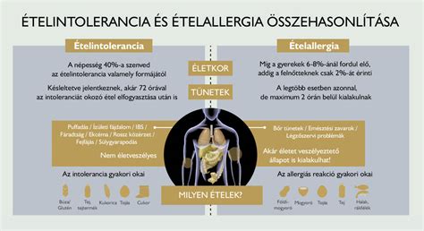 különbség ételallergia és ételintolerancia között diagram