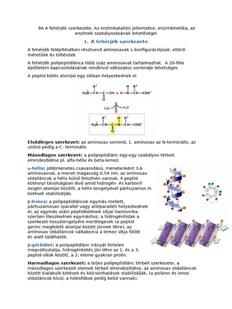 Bélbolyhok szerkezete diagram