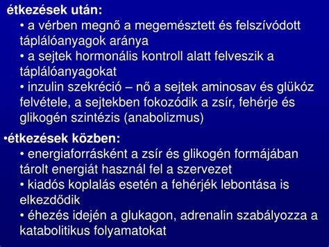 A hús biokémiai folyamatai a vágás után