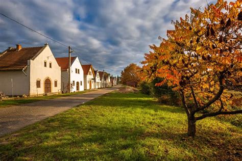 Borospincék és szőlőültetvények Villányban