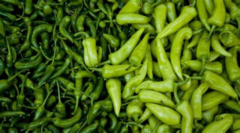 Zöld és piros paprika fajták