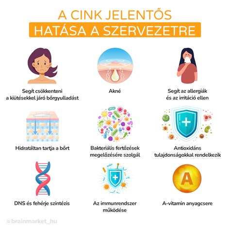 A rezisztens keményítő hatása a szervezetre