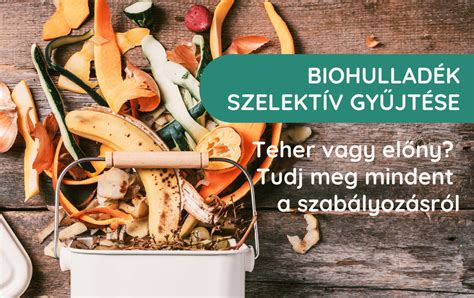 Zöldséghéjak gyűjtése alapléhez