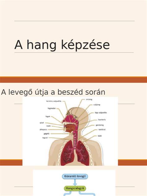 Vendéglátóhelyi személyzet képzése