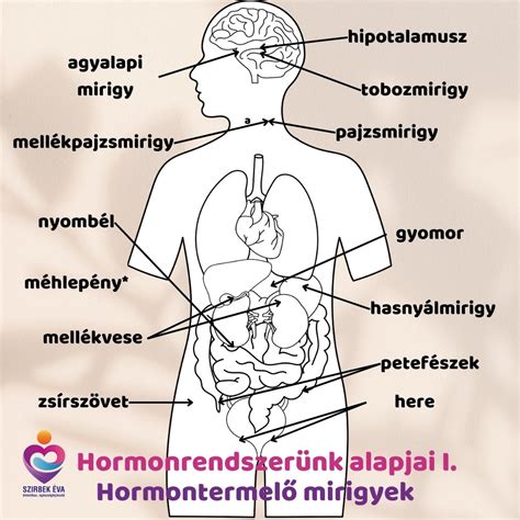 Hormonok és antibiotikumok a tejiparban