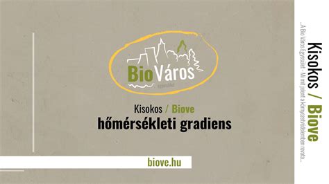 Hőmérsékleti zónák a grillen