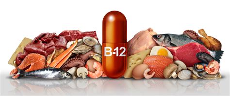 A B12-vitamin szerepe a szervezetben és a vérképzés folyamata