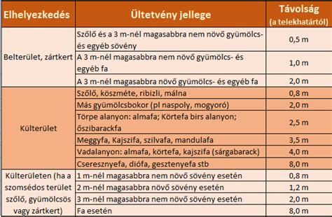 A madártej hagymáinak helyes ültetési mélysége és távolsága ábrázolva