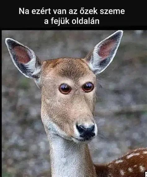 Aktív életmódot jelképező képek