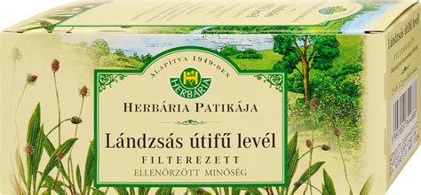 Lándzsás útifű levél