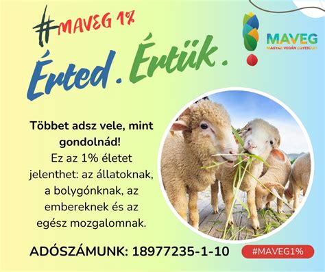 A veganizmus motivációi: egészség, környezetvédelem, állatvédelem