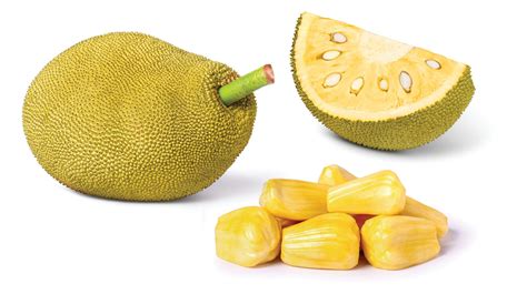Jackfruit a fán