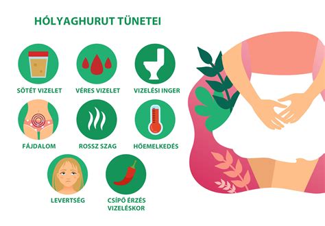 Hólyaghurut tünetei infografika