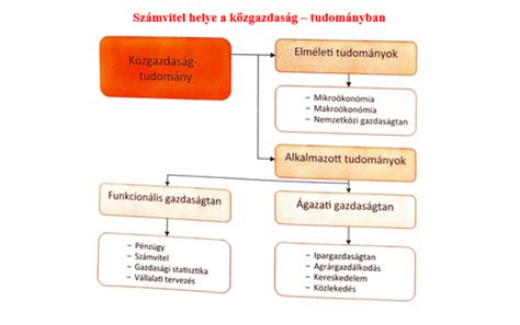 Antioxidánsok működését bemutató infografika