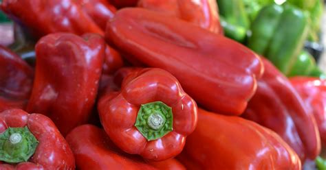 Különböző kápia paprika fajták összehasonlítása