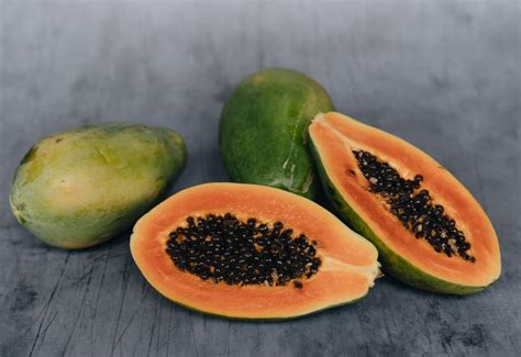 Papaya gyümölcsök egy fa törzsén