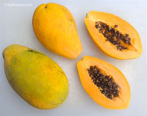 Papaya lekvár befőttesüvegben