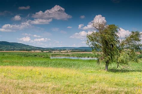 Kiskunsági Nemzeti Park