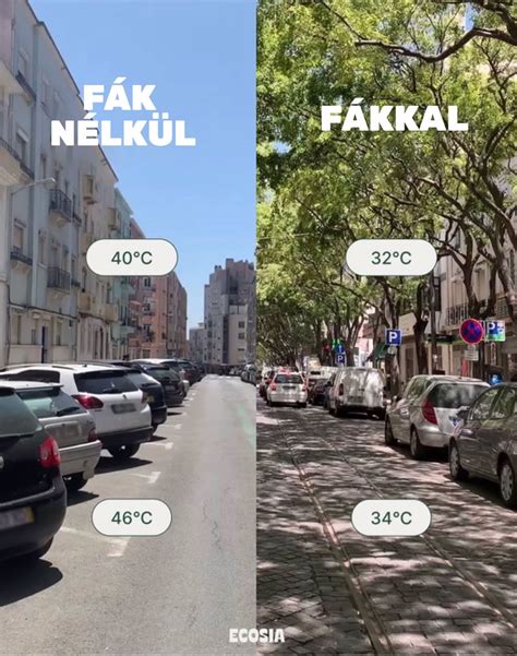 Hőmérséklet-szabályozás és előmelegítés fontossága