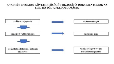 Az élelmiszerlánc nyomon követhetőségét szemléltető diagram