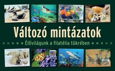 cipőtalp kopási mintázatok elemzése
