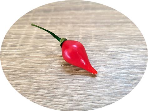 Ideális talajprofil a paprika termesztéséhez