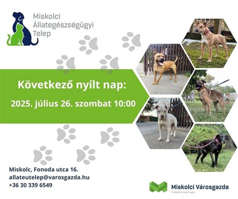 Állategészségügyi ellenőrzés