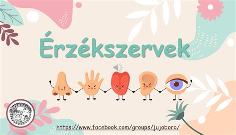 Az érzékszervek szerepe az étkezésben
